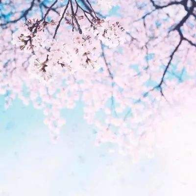 开元ky888vipapp下载截图