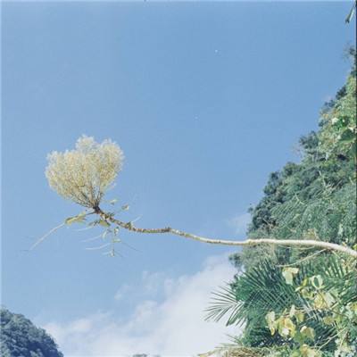 炸金花游戏手机app下载